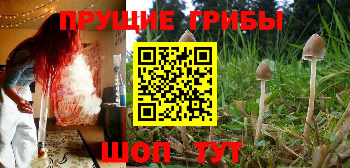 Псилоцибиновые грибы MAGIC MUSHROOMS  Вход с VPN  Балашиха 