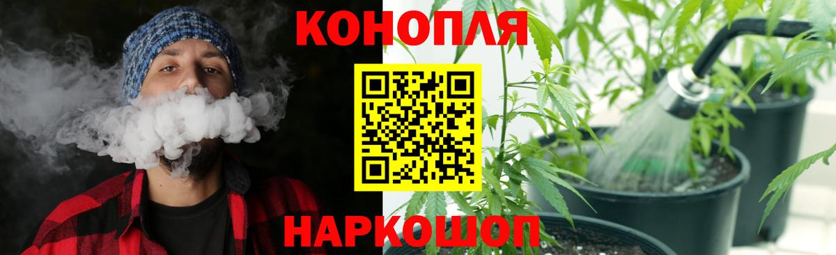 Балашиха  Бошки Шишки Bruce Banner  Канабис план  Конопля семена  Вход с VPN 